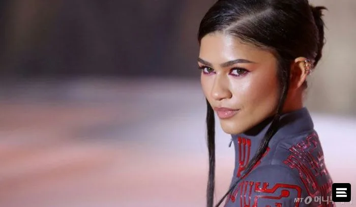 Zendaya и критика за встречу с первой леди Франции